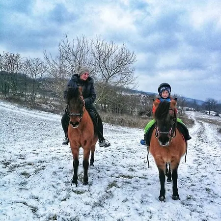 Patakpart Vendeghaz Pensionat Ófalu