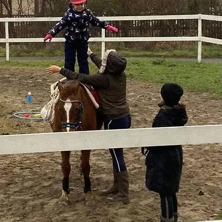 Pensionat Patakpart Vendeghaz