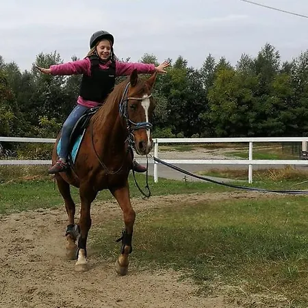 Patakpart Vendeghaz Pensionat Ófalu