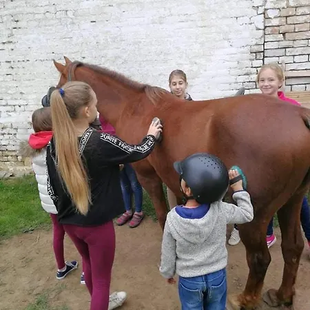 Patakpart Vendeghaz * Ófalu