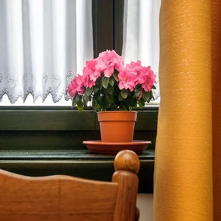 Pensionat Patakpart Vendeghaz *